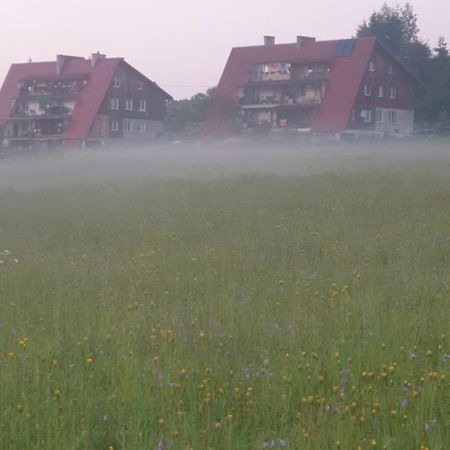Apartament Wrzos Bieszczady ชาร์ดนา ภายนอก รูปภาพ